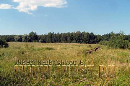 Земля сельхозназначения в деревне Топканово 169 га