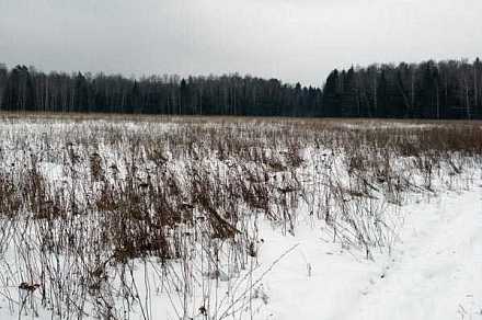 Земля сельхозназначения в деревне Покров 43.6 га
