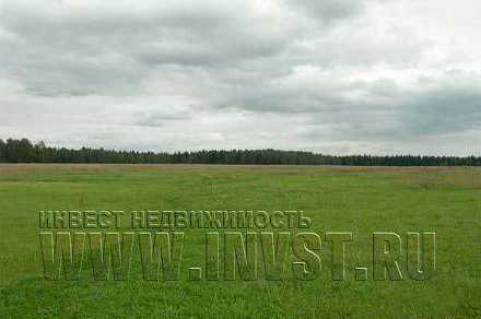 Земля сельхозназначения в поселке Малое Алитово 5 га