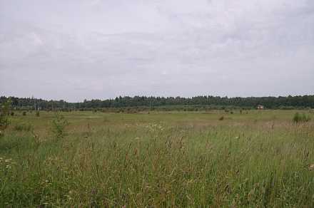 Земельный участок 15 соток в поселке Киевский
