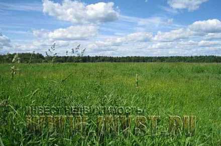 Сельскохозяйственная земля в Кашино 14.2 га