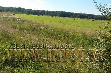 Земля сельхозначения в деревне Назарово 10,72 га