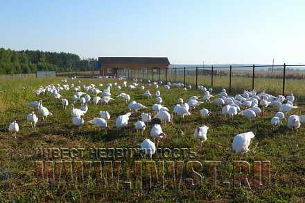 Фермерское хозяйство с птичником в Бильдино 152.9 га