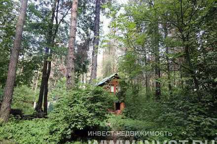 Лесной участок в поселке писателей Переделкино 28.45 соток