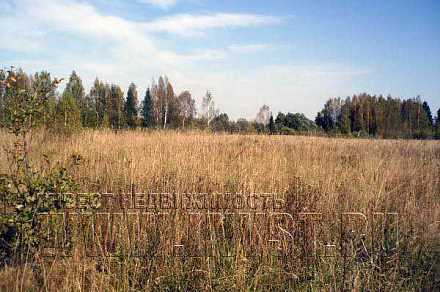 Земля сельхозназначения в деревне Терехово 5.71 га