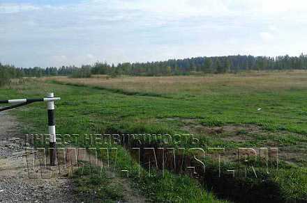 Земля сельхозназначения в деревне Смолево 4,57 га