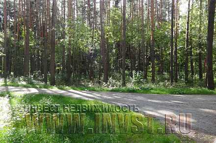 Лесной участок на Минском шоссе, Переделкино 24 сотки