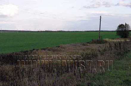 Земля сельхозназначения в посёлке Башкино, 24 га