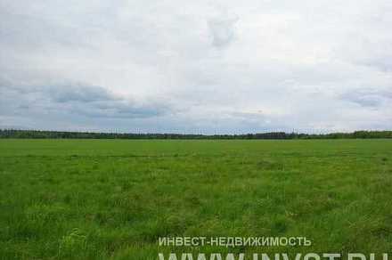 Земля под малоэтажное строительство в деревне Лопотово 119.08 га