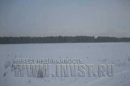 Земля сельхозначения в деревне Назарово 8.85 га