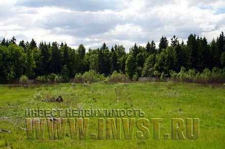 Сельскохозяйственная земля в Меньшиково 400 га