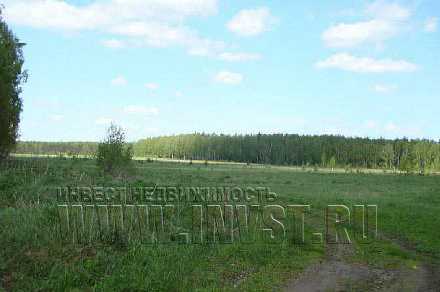 Земля сельхозназначения в деревне Солодовка 12,5 га