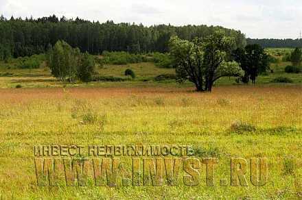 Земля сельхозназначения 2.04 Га, Борисово