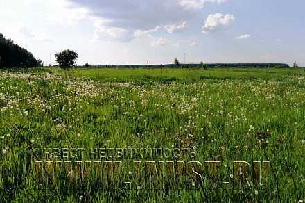 Сельскохозяйственная земля в Кузьмино 58 га