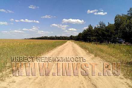 Земля сельхозначения в деревне Татарки 13,18 га