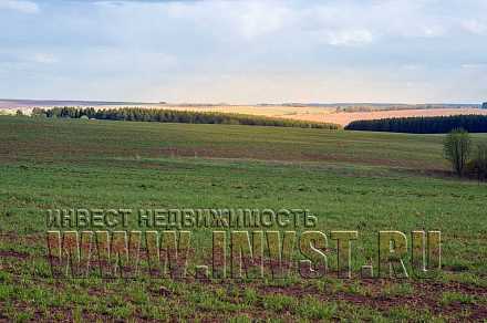 Земля сельхозназначения 93.61 Га, Владимирская область, Шихобалово