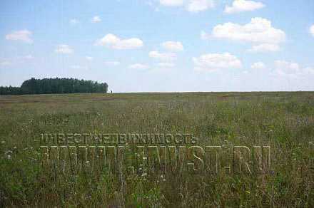 Земля сельхозназначения в деревне Мартемьяново 18,4 га