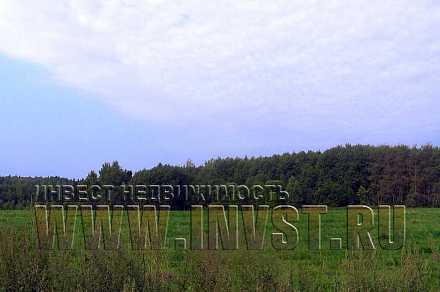 Земля сельхозназначения в деревне Суропцово 2.78 га