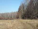Земля сельхозназначения в деревне Боярково, 23.2 га