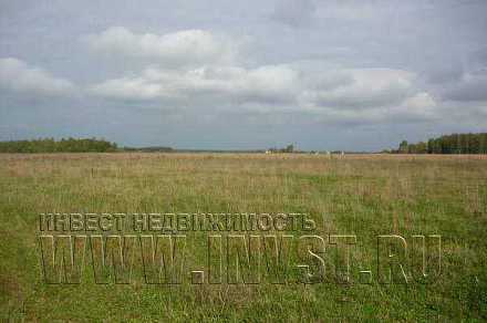 Земля сельхозназначения в деревне Кошелево 2,87 га