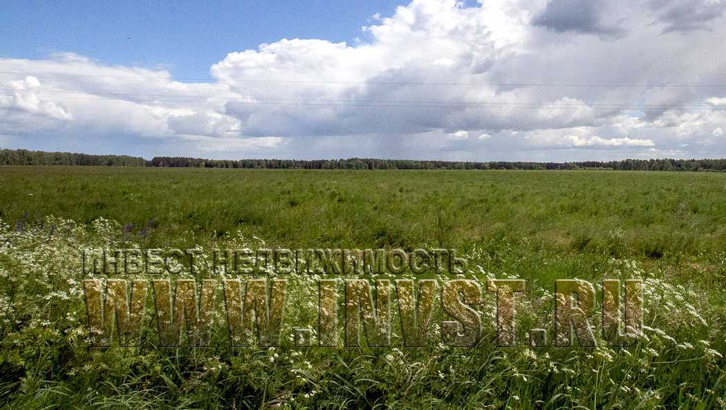 Земли сельхозназначения кфх