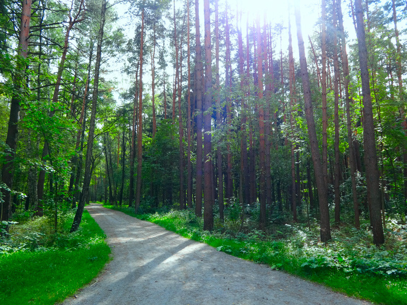 Мещерский природный парк