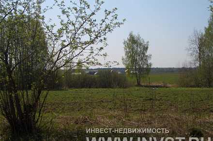 Земля под коттеджное строительство в деревне Орлово 27.87 га
