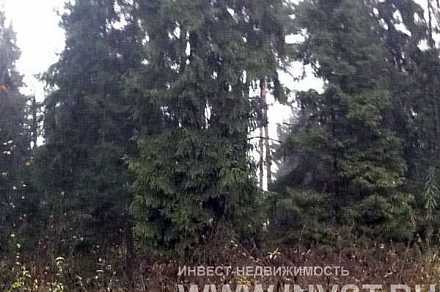 Земельный участок в КП "Балтия" 38 соток