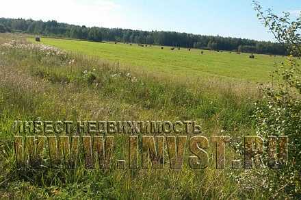 Земля сельхозначения в деревне Долево 32,2 га