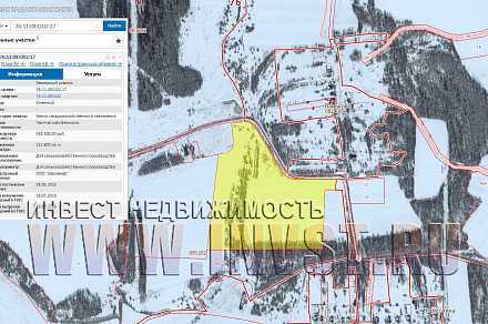 60 Га в Ярославской области, Паньково