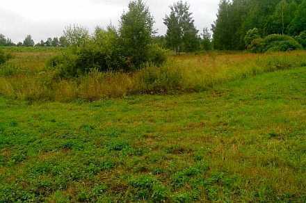 Земля сельхозназначения в посёлке Оленьково 50 га