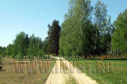 Земля 150 га на берегу р. Ока, Рязанская обл., с. Тырново