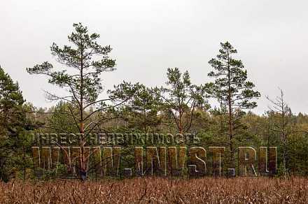 Участок 4.4 Га в Талдомском районе, Ольховик