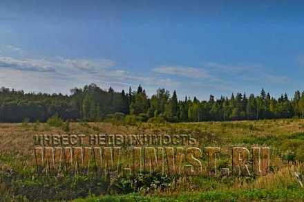 Участок 4.9 га под коттеджное строительство, мун. округ Волоколамский, д. Коняшино