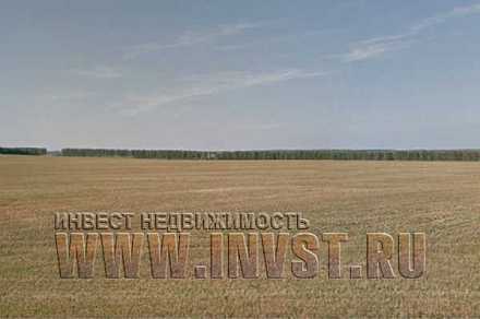 1 000 га сельскохозяйственной земли, чернозем, Пензенская обл., с. Новая Степановка