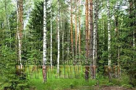 Участок 3 га под рекреацию, Одинцовский р-н, д. Жуковка