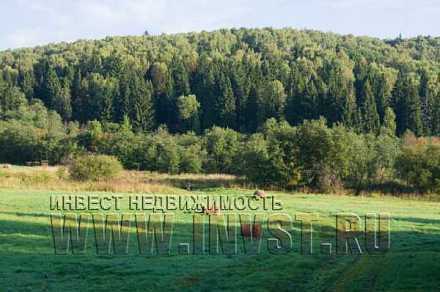 Земля под дачный поселок 3 га, Дмитровский р-н, д. Парамоново