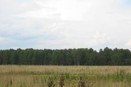 Земля промышленного назначения в Коледино 1.34 га