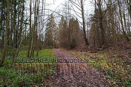 Земля 6 га под базу отдыха, Серпухов г.о., д. Арнеево