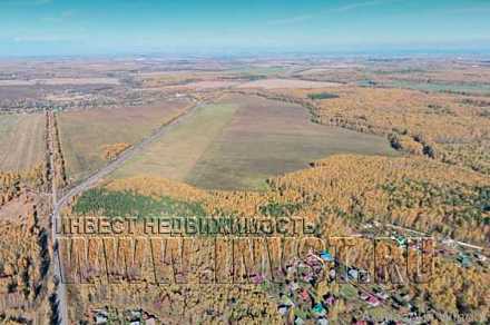 Сельхозземля 85 га, г.о. Коломна, Большое Уварово