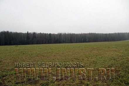 Черноземный участок 9.9 га в Больших Заломах