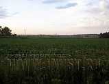 Земля сельхозначения в деревне Старосырово 7,99 га
