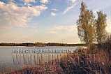 Лесной участок около озера 3.9 га, Ярославская обл., д. Афонино