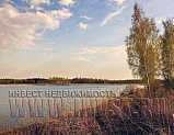 Лесной участок около озера 3.9 га, Ярославская обл., д. Афонино