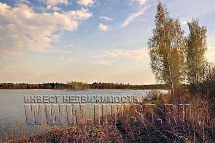 Лесной участок около озера 3.9 га, Ярославская обл., д. Афонино