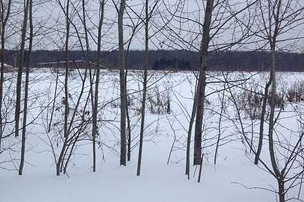 Земля под ИЖС на Рублево-Успенском шоссе, Лызлово