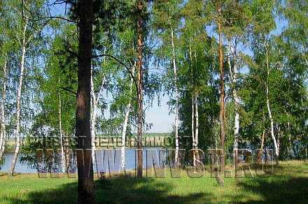 Земля 150 га на берегу р. Ока, Рязанская обл., с. Тырново