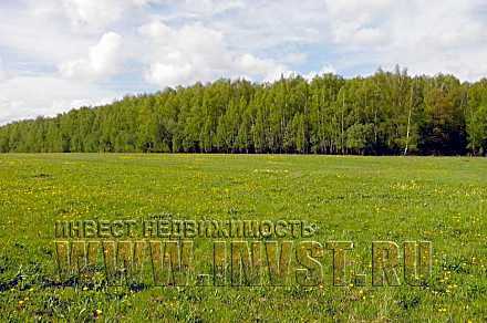 Участок под сельхозпроизводство 5.5 Га, Лыткино
