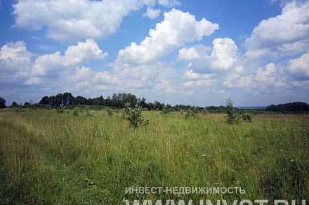Земля сельхозназначения у пруда в Оленьково 10.10 га