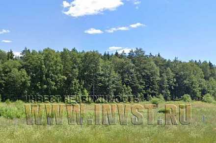 Участок 3.3 га под придорожный сервис, Богородский р-н, д. Горки